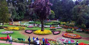 Ooty Cabriolet – Ooty Cab service