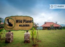 Coimbatore Airport to Devala, Wild Planet Cab service